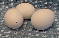 Egg example